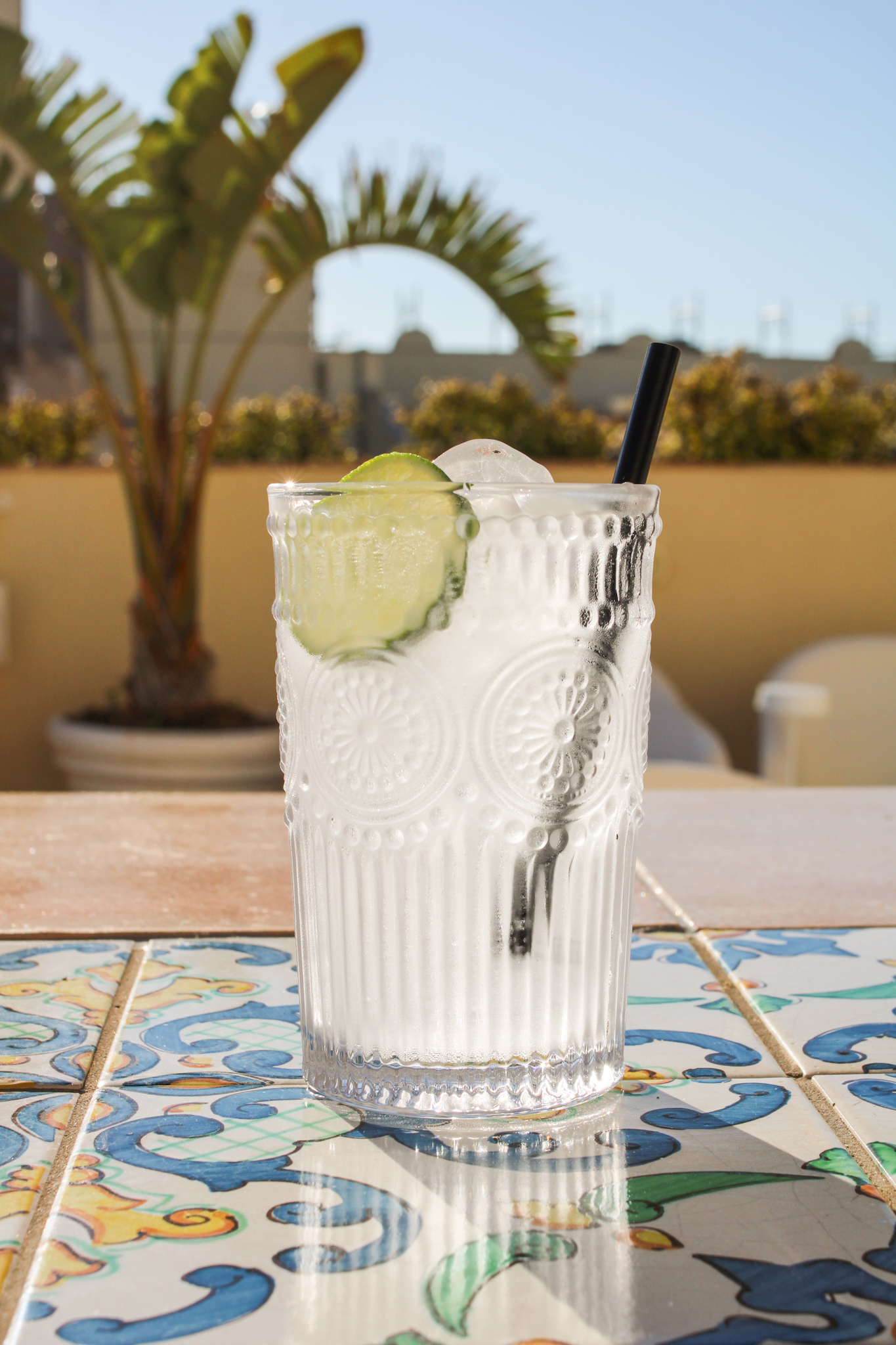 VirGin Tonic